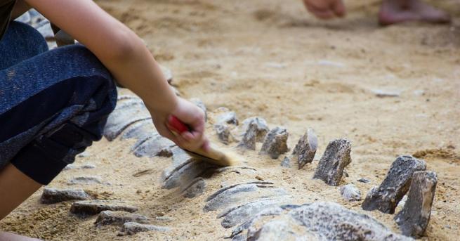 Археологическите разкопки невинаги водят до откриване на находка На студента