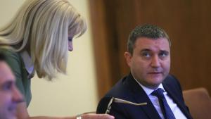 Владислав Горанов