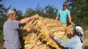 Гоце Делчев