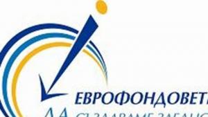 Видин проекти
