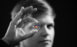  Платформата 