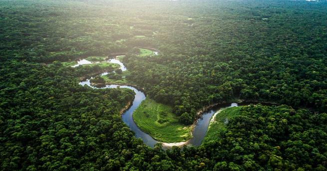 Обезлесяването в Бразилия се е увеличило с около 67% през