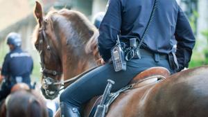 полиция на кон