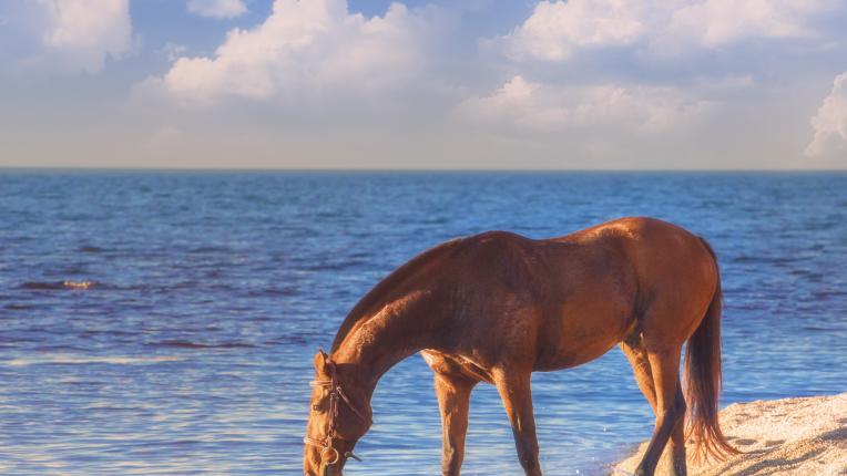  12 бабини съвета, които оказват помощ цялостен живот 