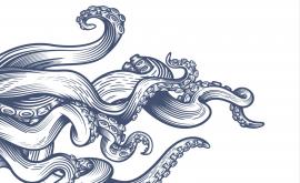  Илюстрация 