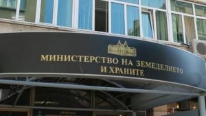Министерство на земеделието избра Десислава Бонева за съветник в политическия