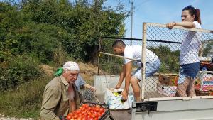 врачански лозя
