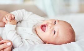  Фотограф добави 