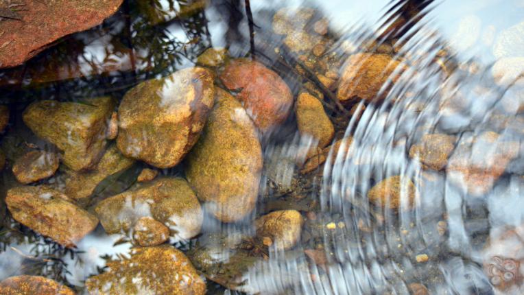 Чудодейните свойства на зеолитовата вода