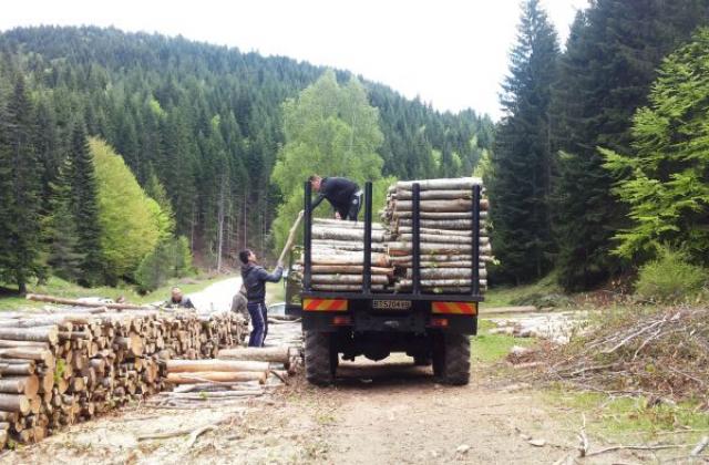 Инспектори от държавните горски предприятия и Изпълнителна агенция по горите