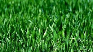 Благоевград