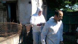 Започнаха проверките за останали живи прасета в Пазарджишко