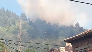 Горят къща и иглолистна гора в Дупница