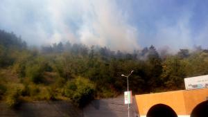 пожар Дупница