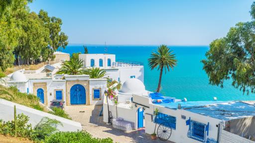  <p><strong>Тунис</strong> бележи <strong>бум в визитите </strong>на туристи</p> 