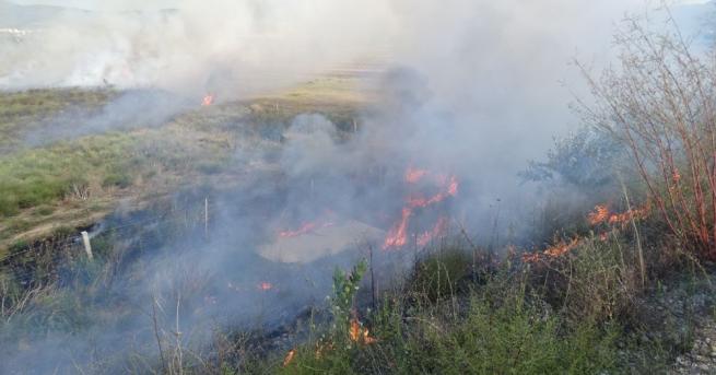 Сухи треви пламнаха към 17 часа край автомагистрала Струма Огънят