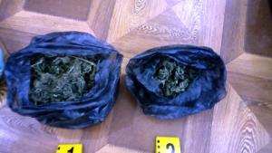 Разкриха голяма наркооранжерия и незаконно оръжие в Костандово