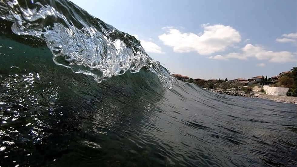 Потайности и красоти на морския свят