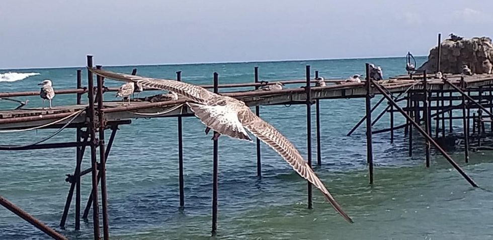 Потайности и красоти на морския свят