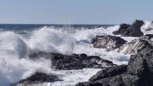 Потайности и красоти на морския свят