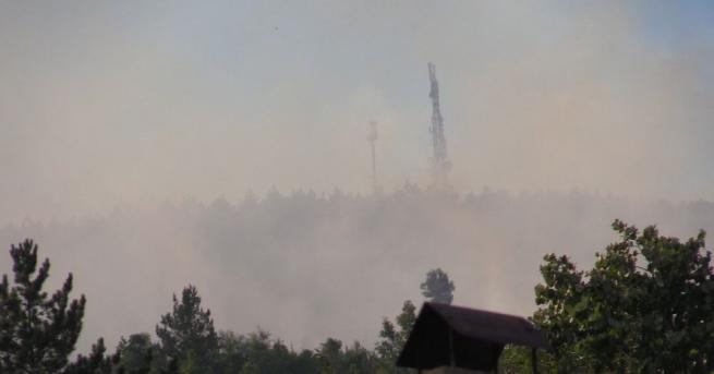Между селата Владо Тричков и Реброво отново е избухнал горски