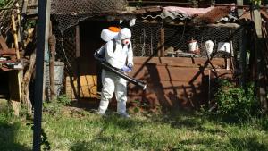 КРЕСНА ЧУМА СВИНЕ БАБХ ДЕЗИНФЕКЦИЯ