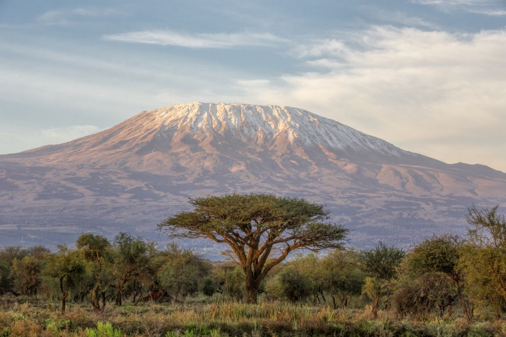 Това са Шира на запад с надморска височина 3962 м, Мауензи на изток с височина 5149 м и геоложки най-младият Кибо, разположен между тях, чийто най-висок връх Ухуру има височина 5895 m и е най-високата точка в Африка.