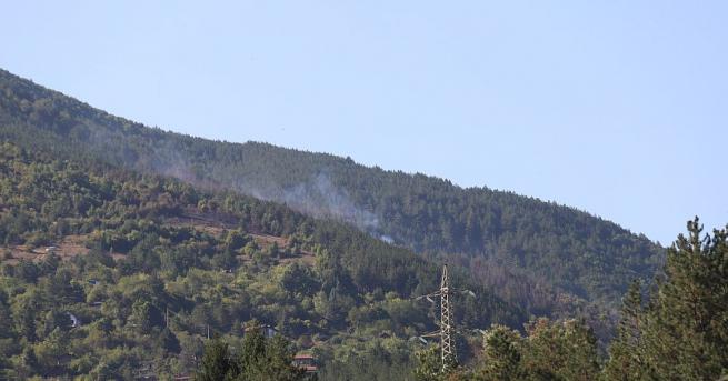 Овладян е новият пожар край софийското село Реброво заяви комисар