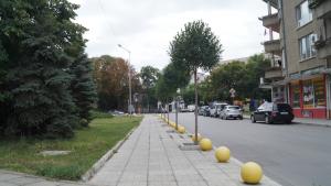 дръвчета търговище