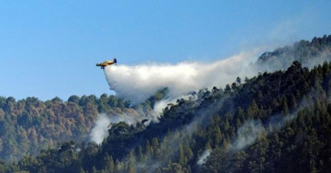 Ситуацията с горския пожар на Канарските острови се стабилизира, предаде