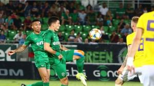 лудогорец малмьо