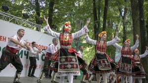 Богородична стъпка