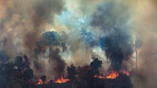  <p>Огненият пъкъл в Амазония заплашва човечеството</p> 