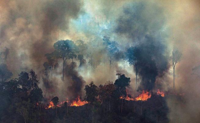 Огненият ад в Амазония заплашва човечеството