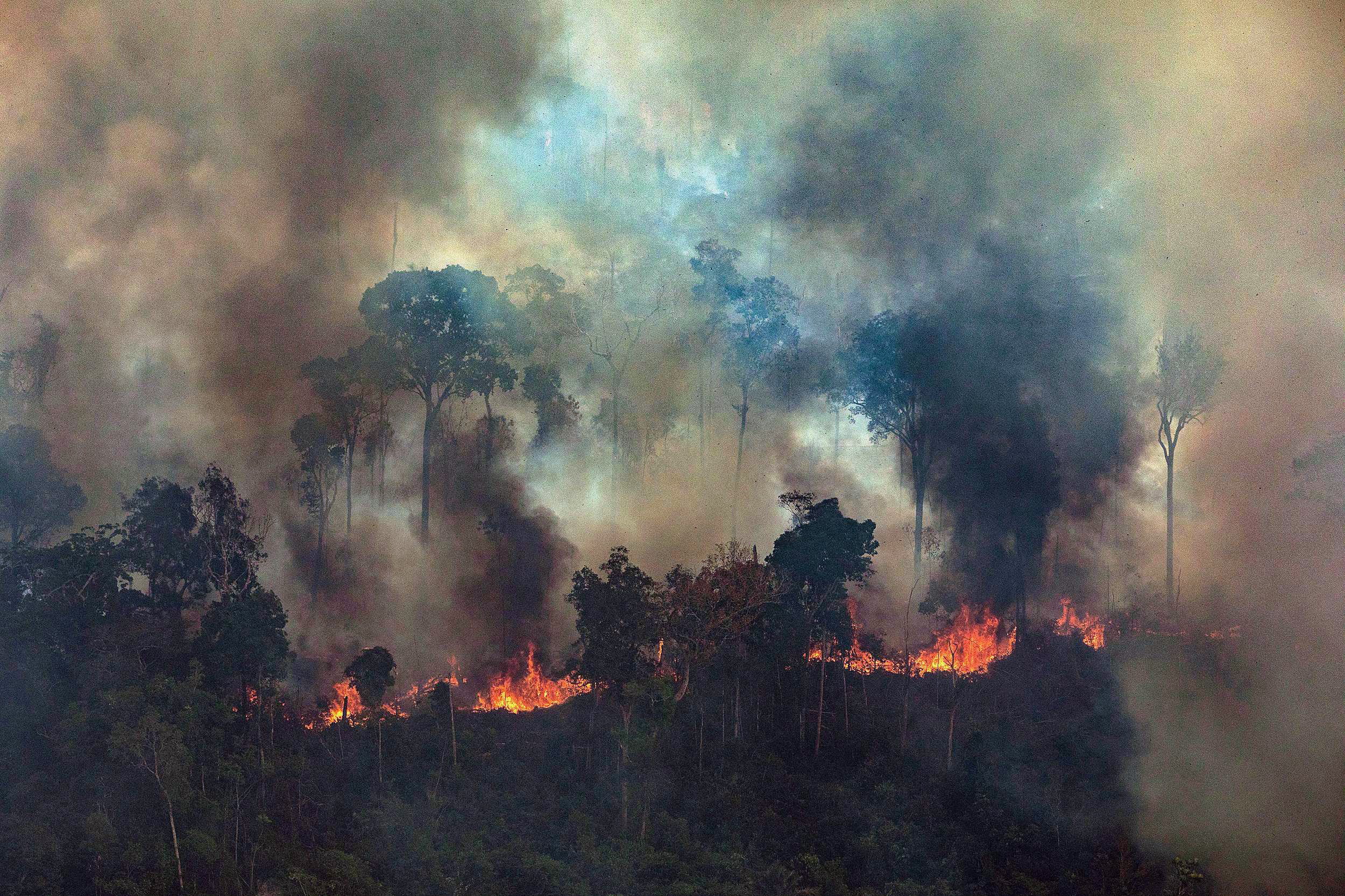 Никога преди в амазонската джунгла не са горели толкова много пожари. Броят им в момента е над 2500. Едва днес правителството на Бразилия заповяда на армията да се включи в гасенето на огъня.