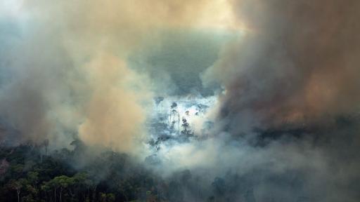  Амазония гори и е по-ужасно отпреди 