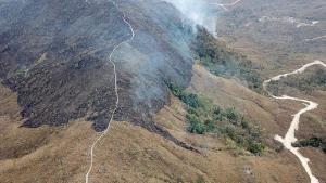 Амазония пожари