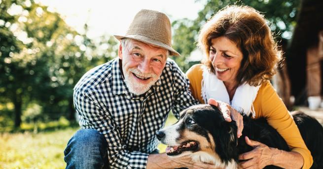 Хората които имат кучета са с по здрави сърца защото се движат