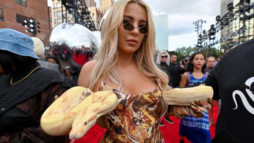  <p><strong>Змия на аления килим</strong> и още щури звезди от премиите на MTV</p> 