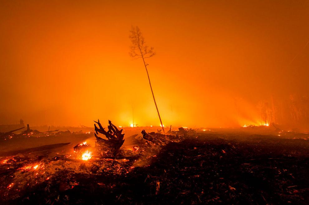 Опустошителните пожари в Индонезия през 2015 г.