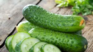 Краставица