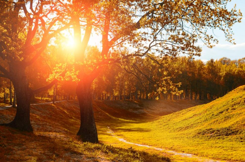  времето есен поляна дъвета 