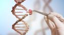 Учените разкриха: Продължителността на живота зависи от гените