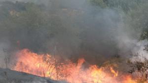 пожар край Петрич