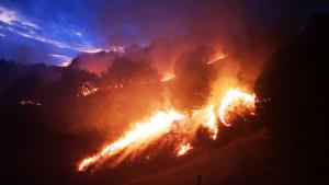 пожар край Петрич