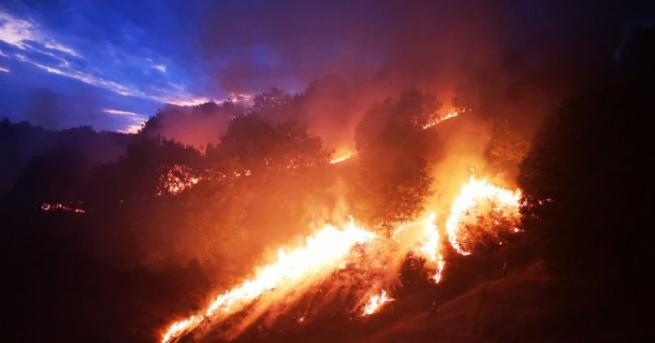Пожарът край село Горно Черковище все още не е загасен.