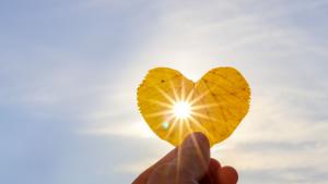 септември слънце