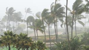 Най силният ураган в източната част на Тихия океан достигнал сушата