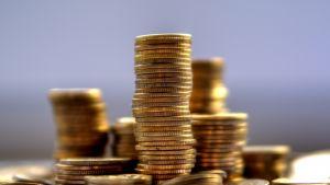 347 млн лв спечелили от хонорари 100 българи