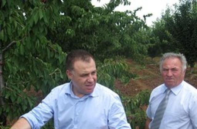 Държавата покрива 80 на сто от застраховките на фермерите
